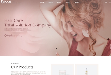 비쎌 홈페이지